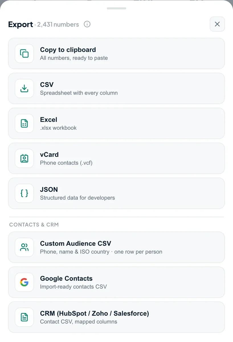 Choose Excel in the Tooly export menu