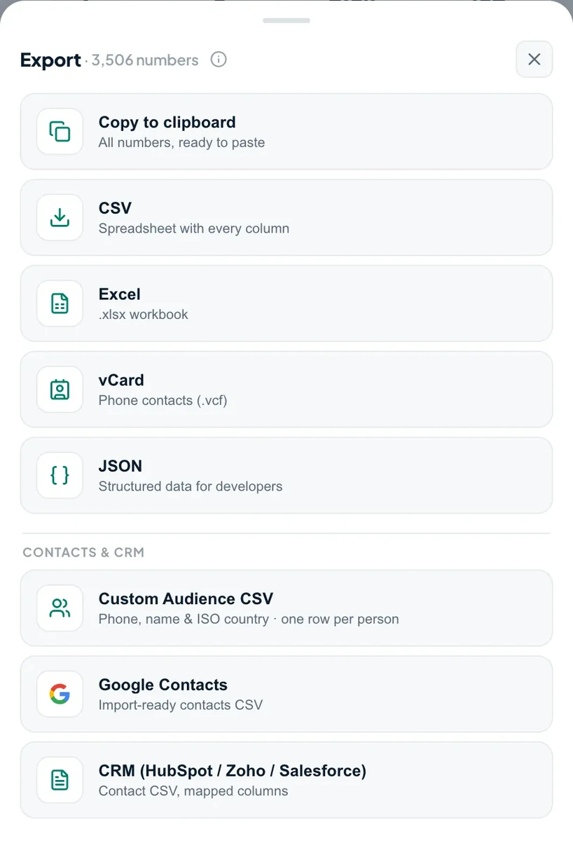Choosing an export format in Tooly — Copy, CSV, Excel, vCard or JSON
